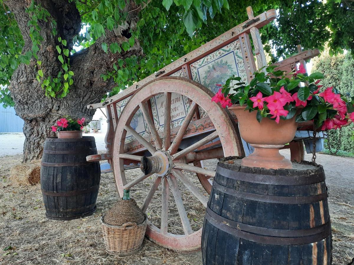 Tenuta Coppa Zuccari Citta Sant'Angelo Exterior foto