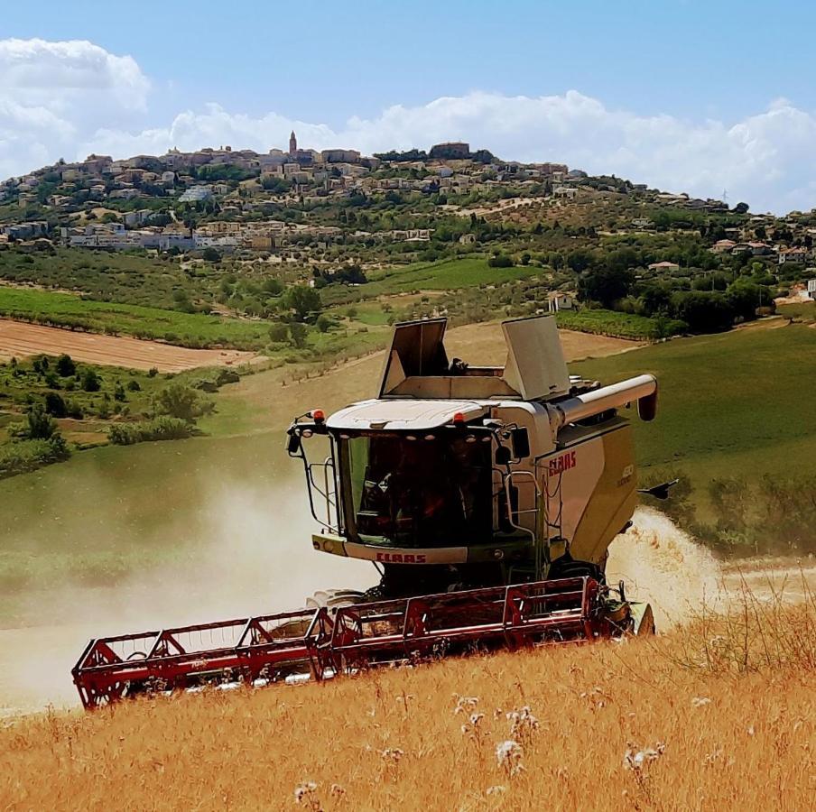 Tenuta Coppa Zuccari Citta Sant'Angelo Exterior foto